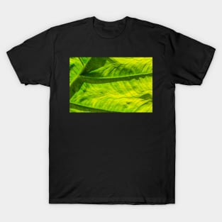 The Poetry of a Leaf T-Shirt